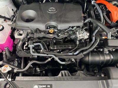 2025 Toyota Sienna XLE 7 Passenger