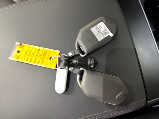 2025 Kia Carnival SX