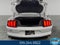 2021 Ford Mustang EcoBoost Premium 2.3 Liter EcoBoost Turboharged 2D Convertible