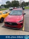 2024 Ford Escape ST-Line 1.5 Liter AWD