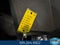 2025 Ford Explorer Active 2.3 Liter EcoBoost 4WD