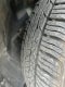 2014 Jeep Cherokee Sport 2.4 Liter FWD