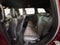 2022 Jeep Grand Cherokee WK Laredo X 3.6 Liter V6 4WD